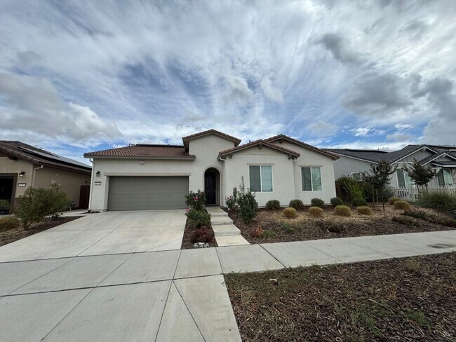 Foto del edificio - Beautiful Springlake Home with Solar and S...
