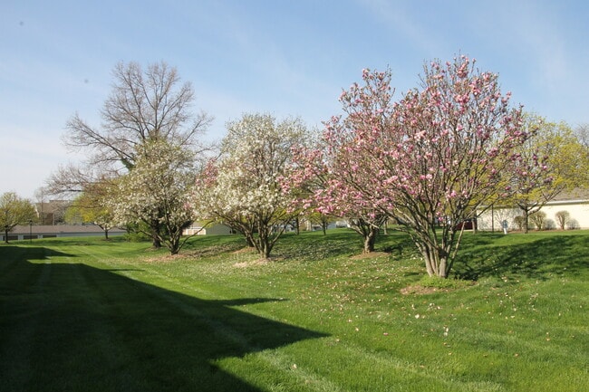 View from patio - 1411 Lake Pointe Way