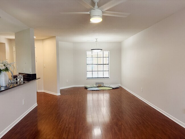 Photo - 210 S Habana Ave (Tampa, FL) Apartment