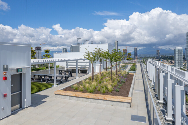 Rooftop Garden - Locale Century City