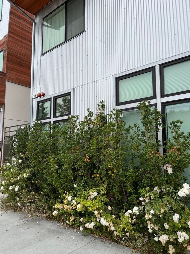 Building Photo - SPACIOUS STUDIO IN OAKLAND!