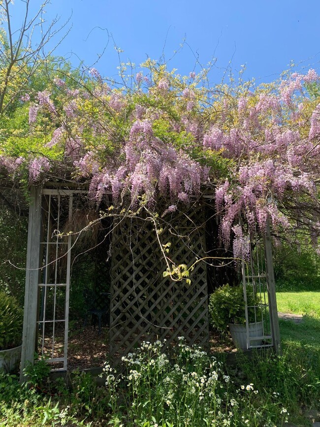 Foto del edificio - 4225 Dry Fork Rd