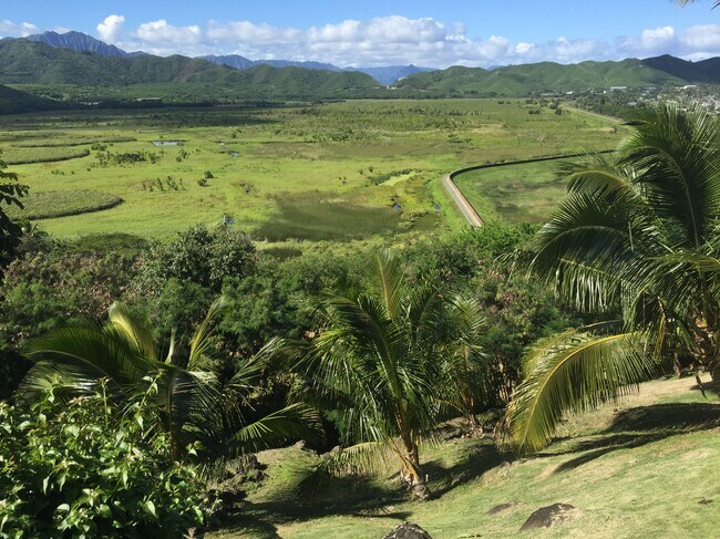 Foto del edificio - 1005 Kailua Rd