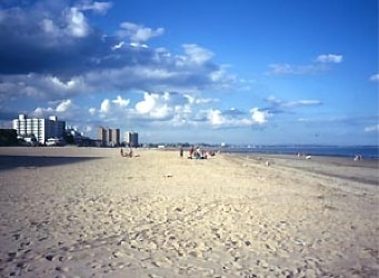 A five mile long National Park beach right across the road - 12 Dolphin Ave