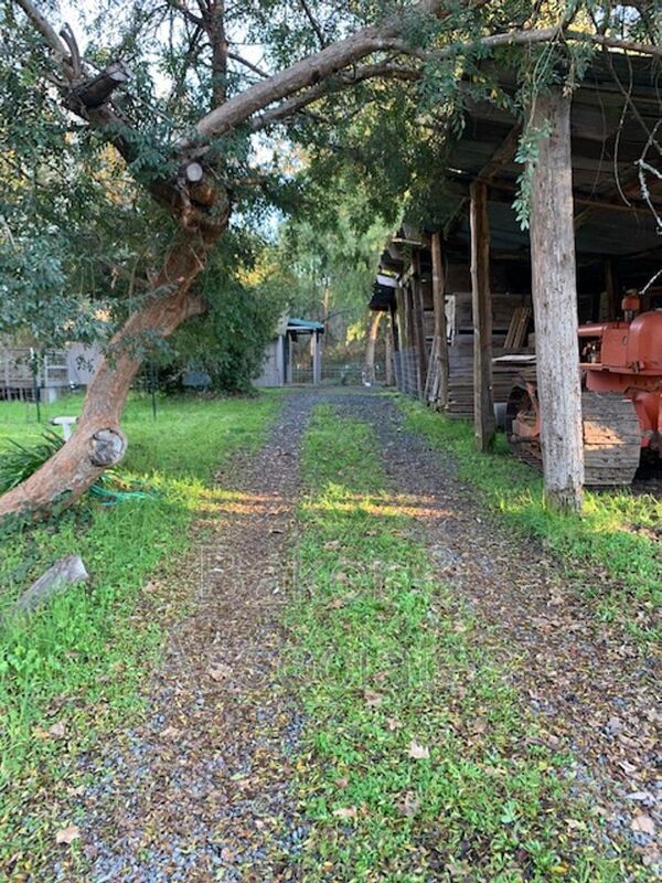 9717 Occidental Rd, Sebastopol, CA 95472 House Rental in Sebastopol
