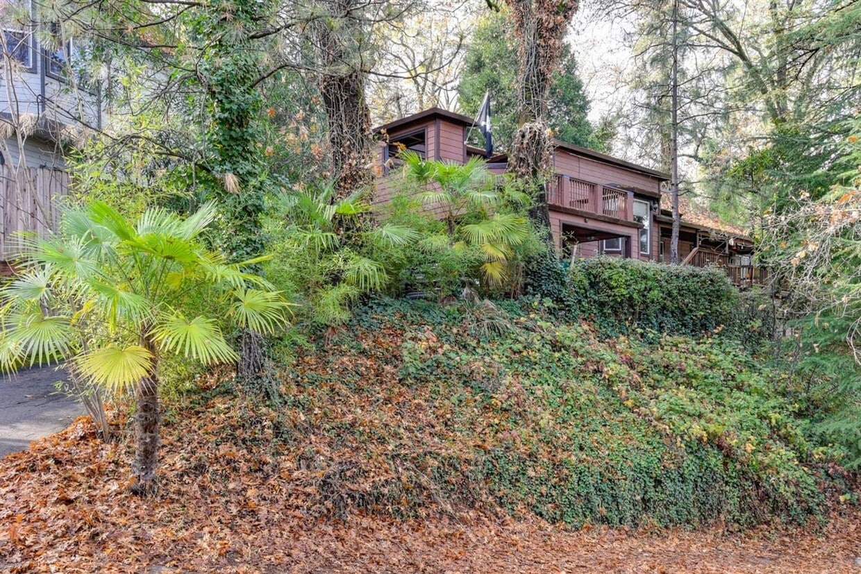 Primary Photo - Walk to Historic Placerville
