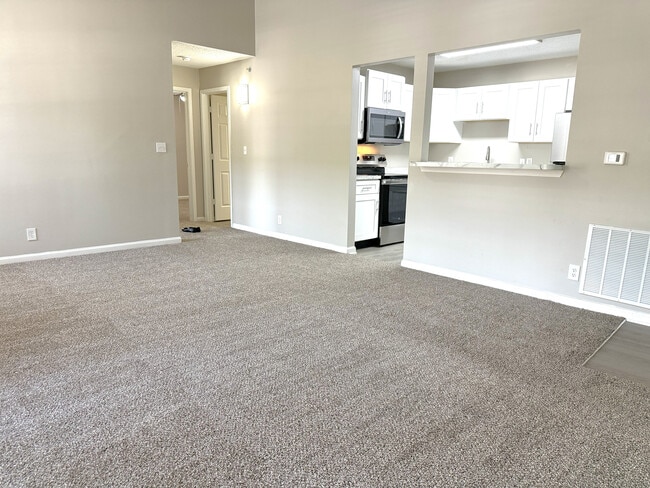 Plush carpeting - The Overlook at Ashland