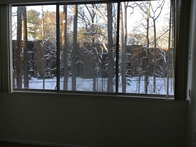Foto del edificio - 4410 Briarwood Ct N
