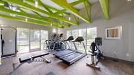 This single-floor fitness center makes an immediate visual impression with its striking lime-green painted roof trusses that span the full length of the vaulted ceiling, creating a bold and energizing atmosphere. The soaring ceiling height adds a sense of openness and volume to the workout space, while pendant lighting complements the abundant natural light streaming in through large floor-to-ceiling windows and glass doors that line the perimeter walls. These expansive windows offer pleasant views of the surrounding greenery, enhancing the workout experience with a connection to the outdoors.

The cardio zone is well-equipped with multiple treadmills, elliptical cross-trainers, and a stationary recumbent bike, all arranged to take advantage of the natural light and outdoor views. A dedicated strength and functional training area houses a rack of dumbbells, stability balls of varying sizes, a wall-mounted exercise mat, a cable machine, and a selection of medicine balls, providing a comprehensive range of workout options. Durable carpet-tile flooring covers the workout area, offering both comfort and traction.

An interior glass partition wall connects the fitness center to an adjacent lounge or common area, visible through the glazing. The overall design is modern, clean, and motivating, making this fitness center a well-appointed space for a full-body workout routine.