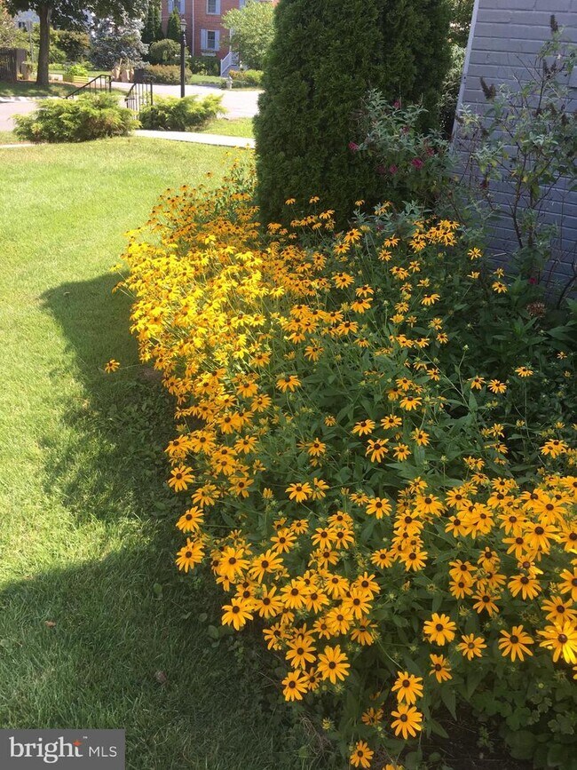 Foto del edificio - 6100 Swansea St