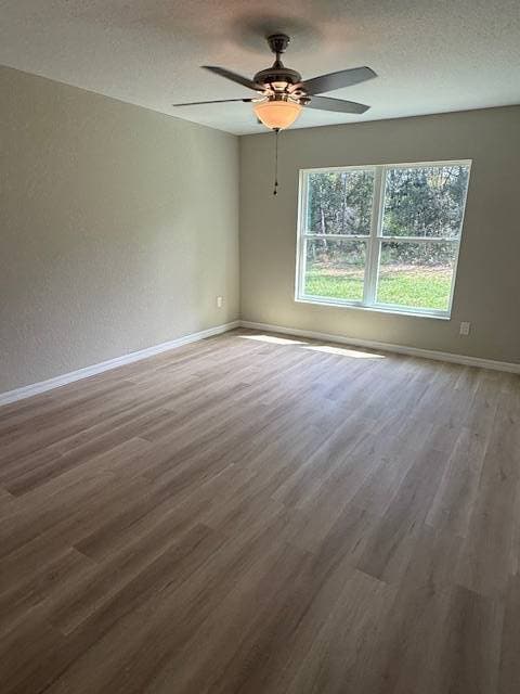 Building Photo - 7063 N Ripley Dr