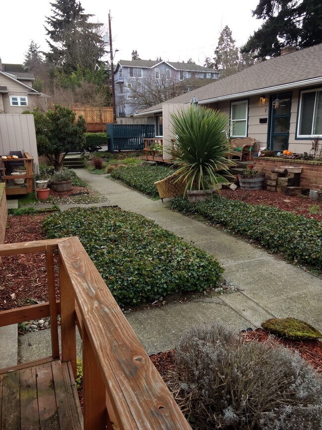 Deck - 208 Florentia St