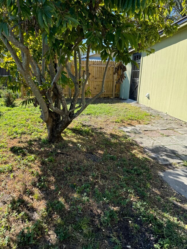 patio interior - 2221 Corrine St