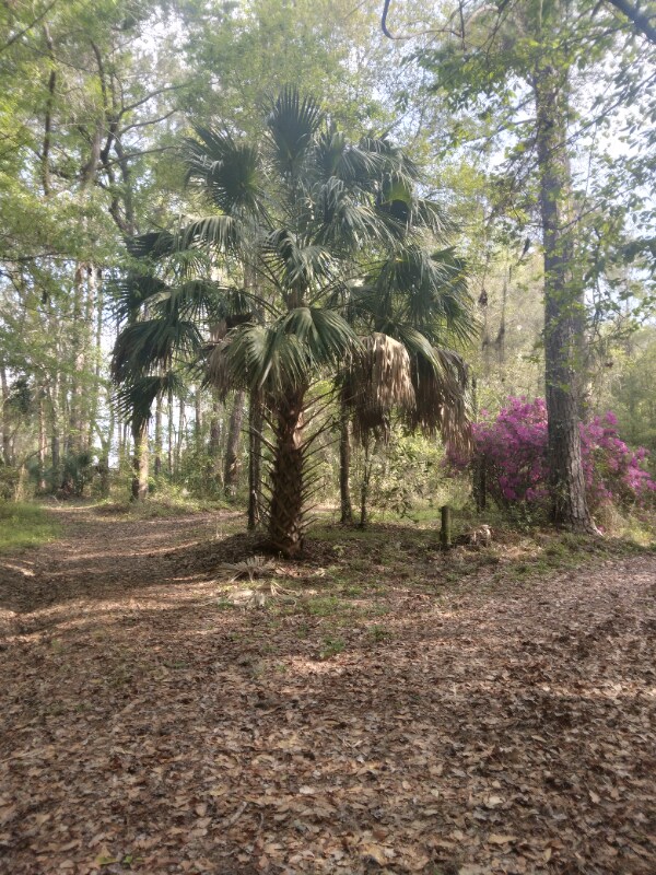 Foto del edificio - 8035 NW 120th St