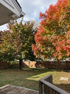 Backyard - 816 Logan Ave