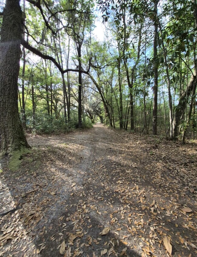 Building Photo - 187 Mamies Rd