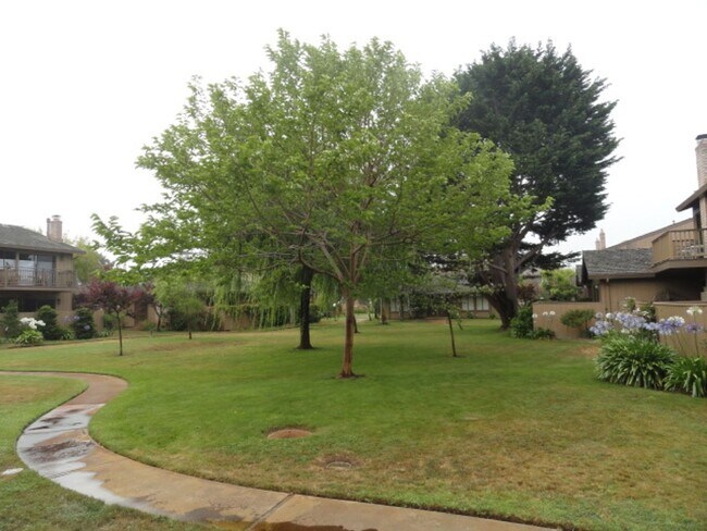 Foto del edificio - Rio Road Condo