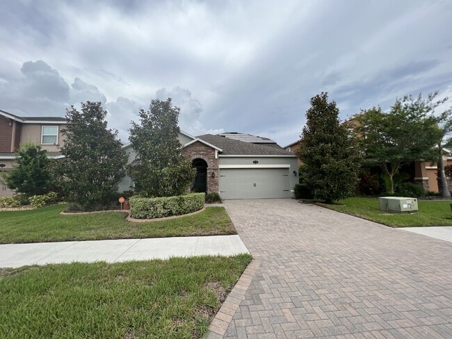 Foto del edificio - "Spacious 4-Bedroom Lutz Home with Elegant...