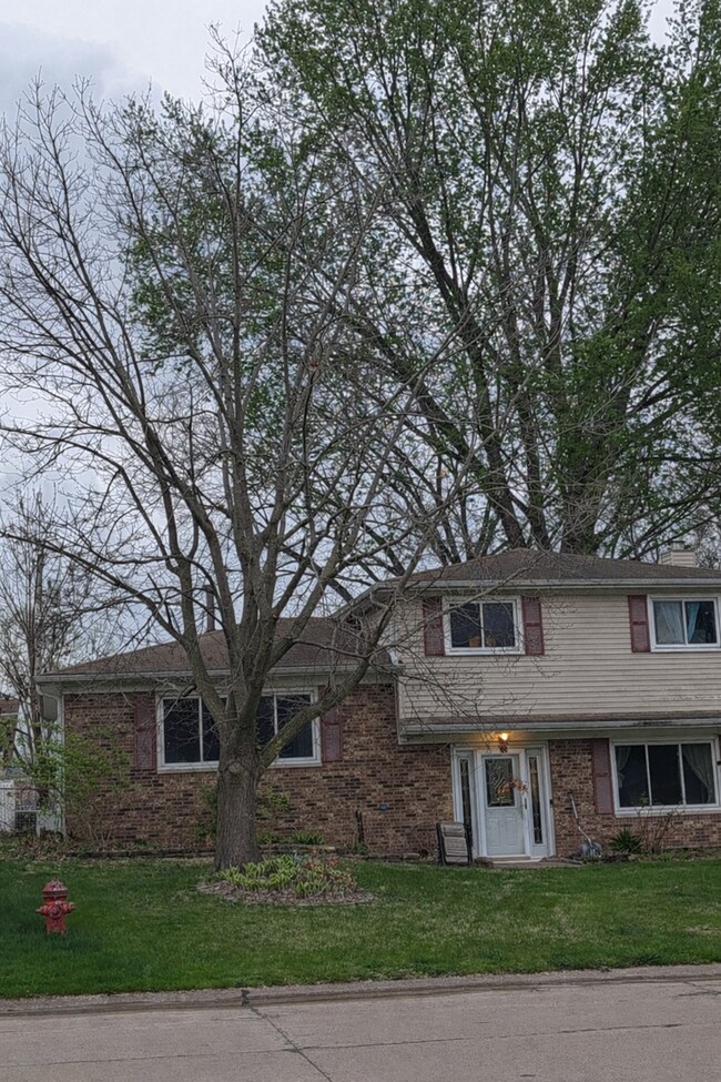 Building Photo - 4 Bedroom East Moline Home with Space Style and Comfort!