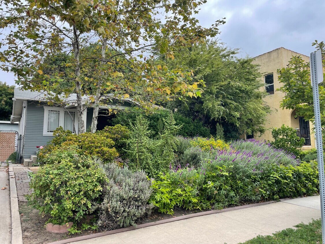 Front of house - 3865 Brunswick Ave