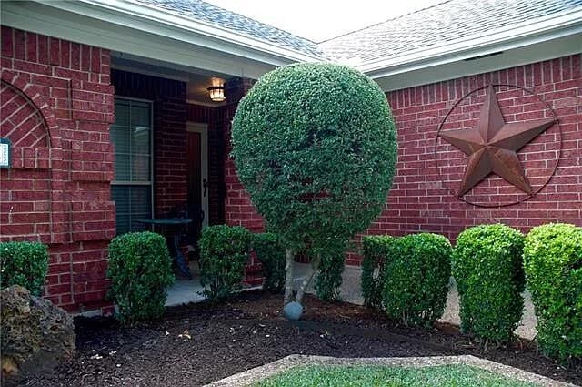 Foto del edificio - 8028 Buttercup Cir S