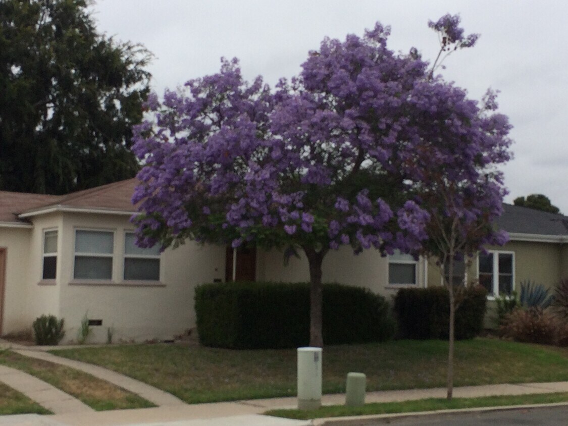 Foto del edificio - 4735 Winona Ave