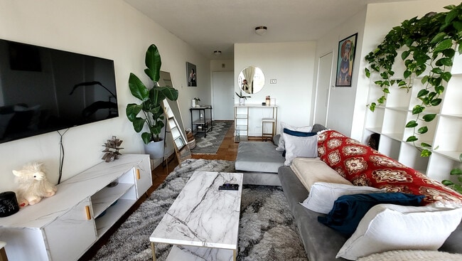 Main Living Area - 429 N St SW
