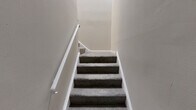 Located at 4065 Harbour Dr in Palmyra, NJ, this 2-bedroom, 1-bathroom residence offers a well-organized single-floor layout with a staircase entry. The open living and dining area features plush wall-to-wall carpeting, neutral-toned walls, and an elegant chandelier that anchors the space. A wall-mounted A/C unit and baseboard heating ensure year-round comfort, while multiple windows allow natural light to fill the room with views of the surrounding greenery. The kitchen is efficiently designed with white cabinetry, a stainless steel refrigerator, and ample counter space. The spacious primary bedroom is a standout feature, boasting soft carpeting, two large double-door closets providing exceptional storage, and dual windows that bring in natural light. The second bedroom, also carpeted, includes its own window with a wall-mounted A/C unit and baseboard heating. The full bathroom is clean and functional, featuring a tub/shower combination with a white surround, wood-style flooring, and louvered window shutters for privacy. Throughout the residence, the neutral color palette and consistent finishes create a cohesive, calm ambiance suitable for everyday living.