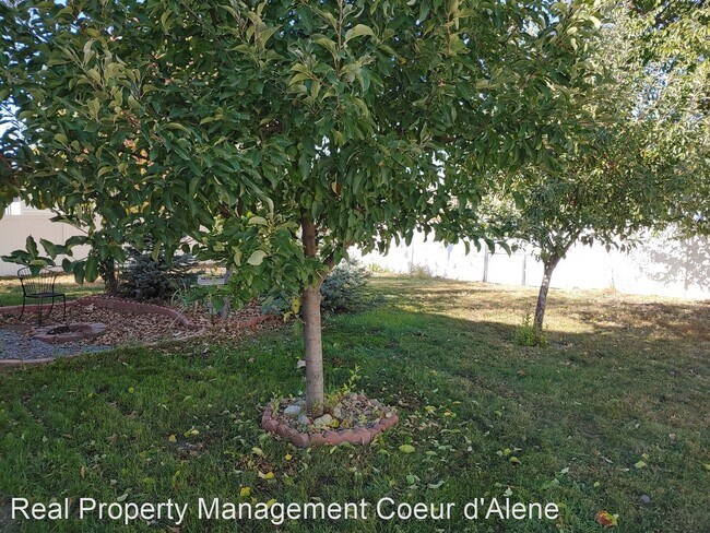 Building Photo - 3 br, 2 bath House - 4449 W Princetown Ln