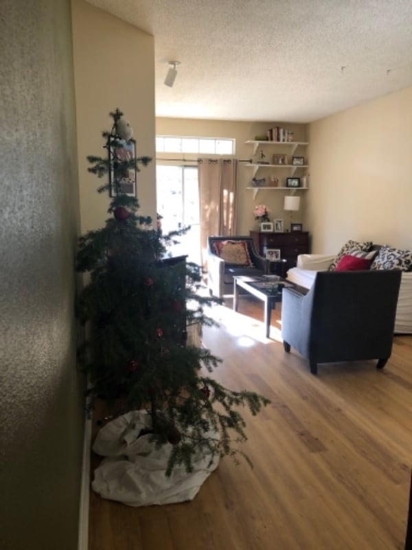 Photo - 7410 Singing Hills Dr Apartment