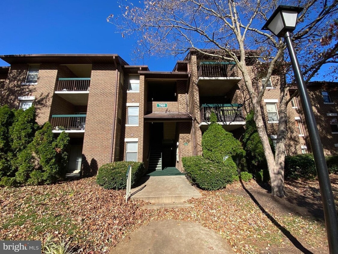 7909 Badenloch Way Unit 304, Gaithersburg, MD 20879 Condo for Rent in
