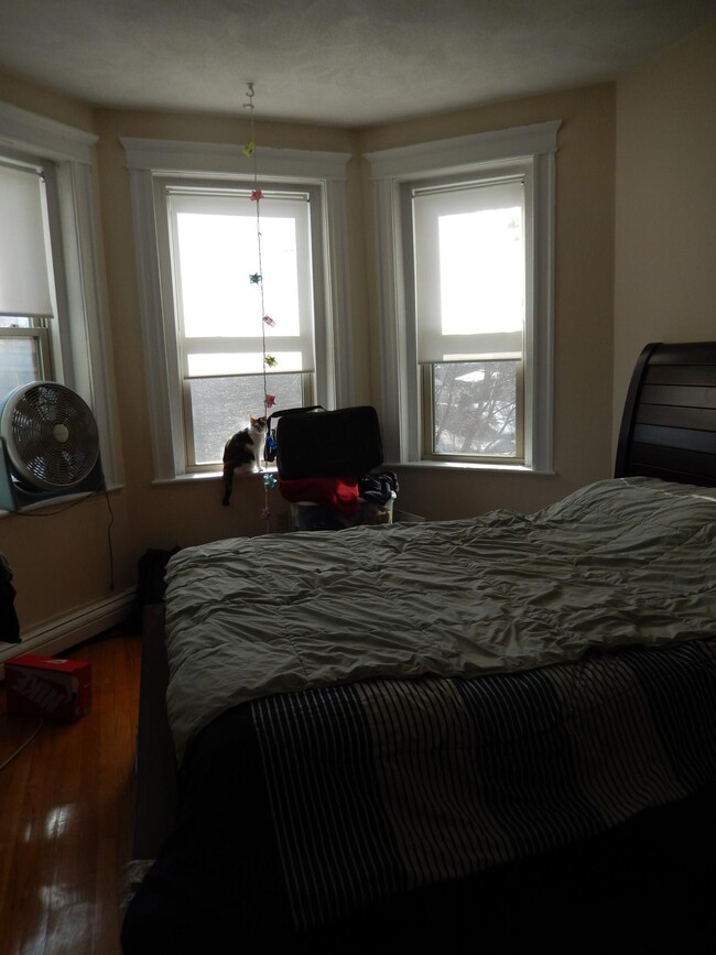 Foto del edificio - 1625 Commonwealth Ave
