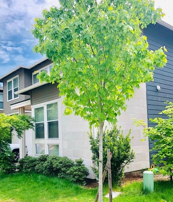 Foto principal - Gorgeous Home with 3 Bed and 2.5 Bath in B...