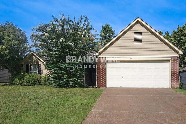 Building Photo - 4431 Grand Pyramid Dr