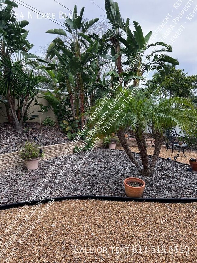 Building Photo - Upgraded Single-Family Home in Tarpon Springs