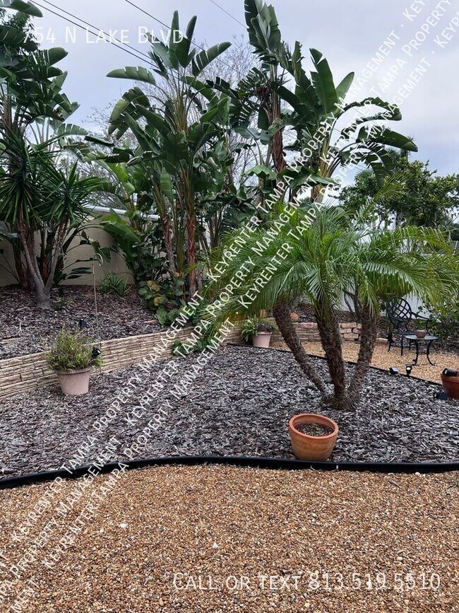 Foto del edificio - Upgraded Single-Family Home in Tarpon Springs