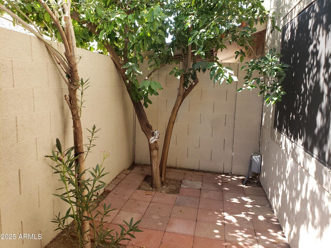 Foto principal - 1115 N 84th Pl