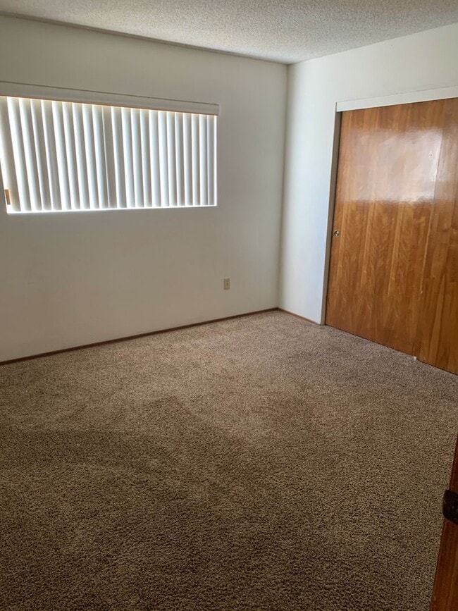 Foto del edificio - 255-257 Evergreen Ave