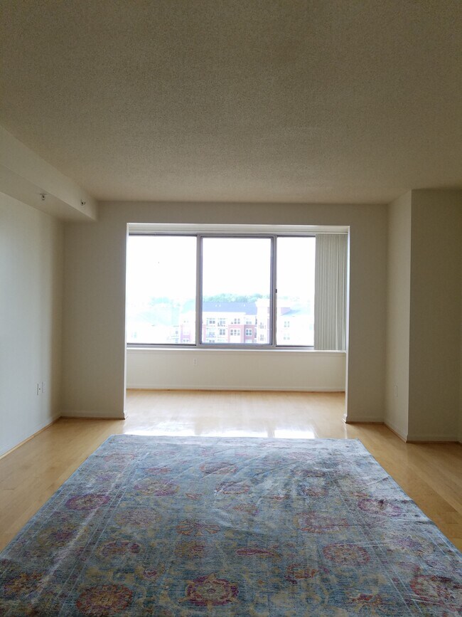 Living Room - 2726 Gallows Rd