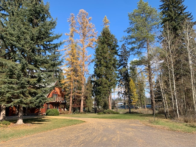 Building Photo - 1005 Creekview Dr