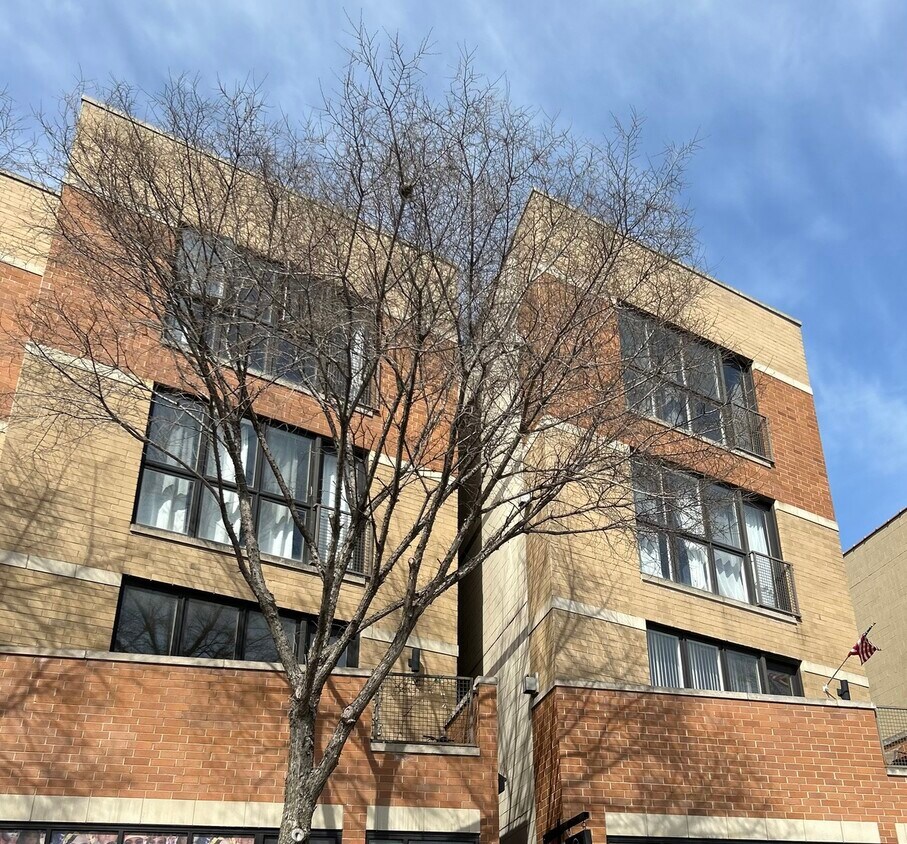 Foto principal - 2436 W Madison St