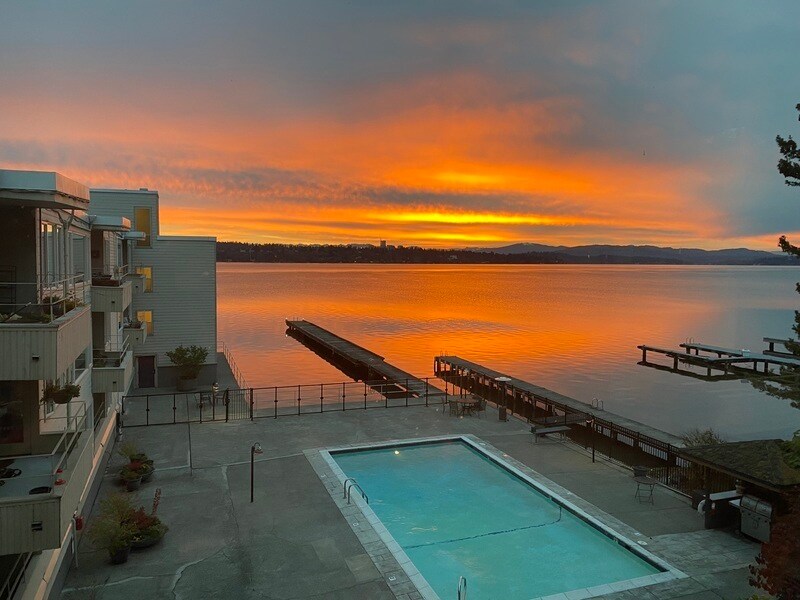 1600 43rd Ave E Unit 313, Seattle, WA 98112 Condo for Rent in Seattle