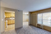 Located at 115 N Main St in Bellingham, Massachusetts, this two-bedroom, one-bathroom residence offers a well-organized single-floor layout finished with warm neutral tones and plush carpet throughout the living areas. The open living room receives natural light through large windows fitted with blinds and provides direct access to a private balcony overlooking a scenic, tree-lined courtyard — particularly striking during autumn foliage season. Adjacent to the living room, the dining area flows naturally into a fully equipped kitchen featuring honey-toned wood cabinetry, dark granite-style countertops, tile flooring, and white appliances including a gas range, built-in microwave, dishwasher, and refrigerator. Both bedrooms are carpeted and bathed in natural light, each offering generous closet space with full-panel bifold doors. The primary bedroom is notably spacious, providing ample room for furnishings. The bathroom includes a full tub and shower combination with clean white surroundings. Additional highlights include a utility room, a hallway connecting the main spaces, and abundant closet storage throughout — four closets in total — ensuring practical everyday functionality.