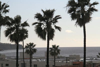 Building Photo - Ocean Gate Towers