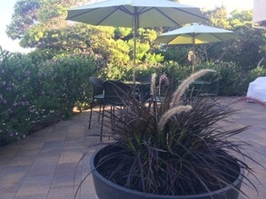 Building Photo - 1255 Yosemite St