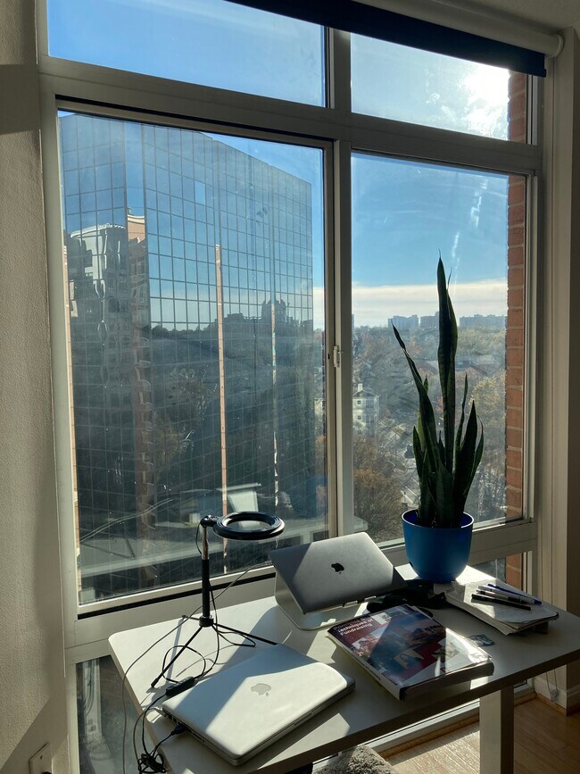 Foto del edificio - 3101 N Hampton Dr