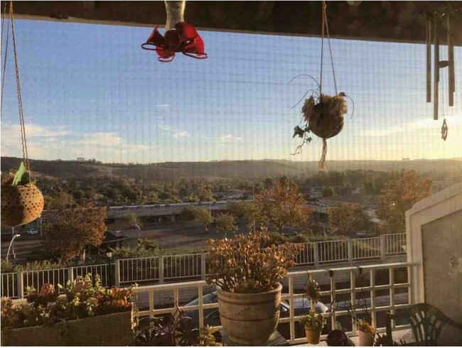 Balcony View - 12838 Carriage Heights Way