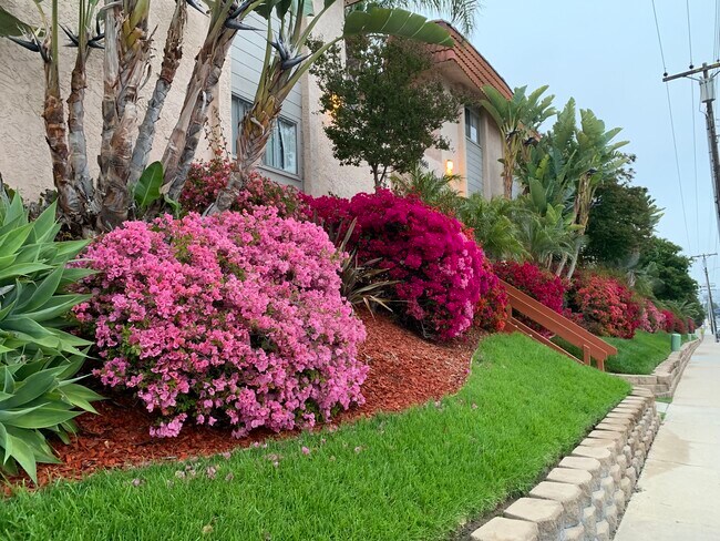 Foto del edificio - Carlton Ridge *1st Month Free OAC*