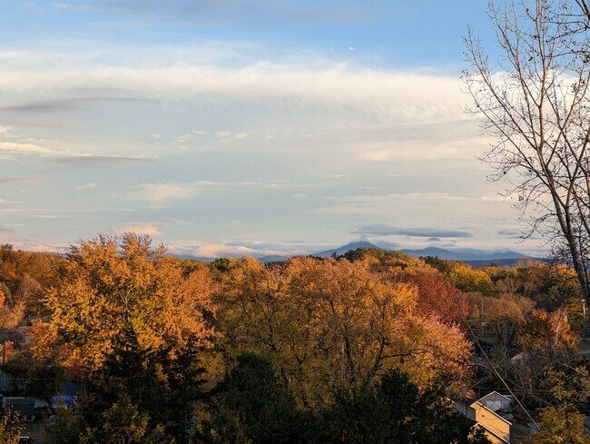 Foto del edificio - 163 Franklin St