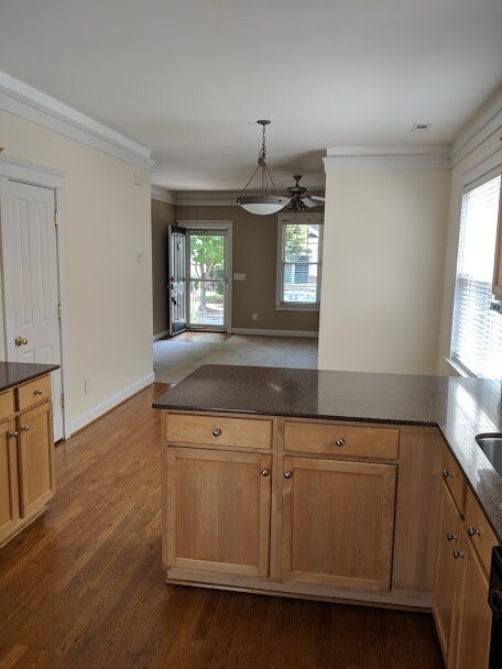 Building Photo - BIRKDALE VILLAGE 3 BEDROOM/2 BATH